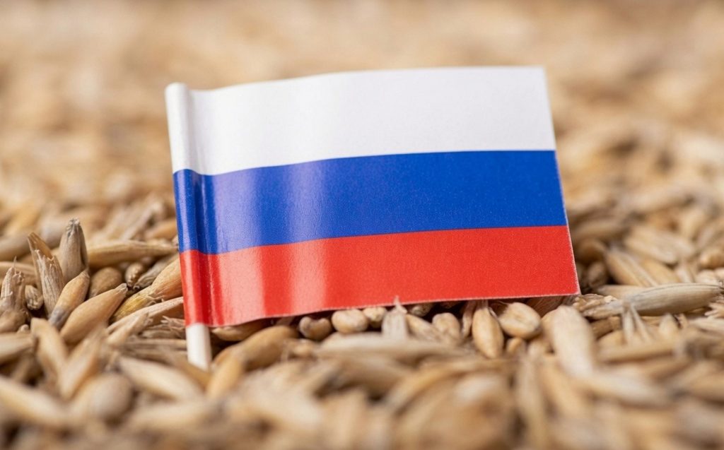 Зерно РФ.