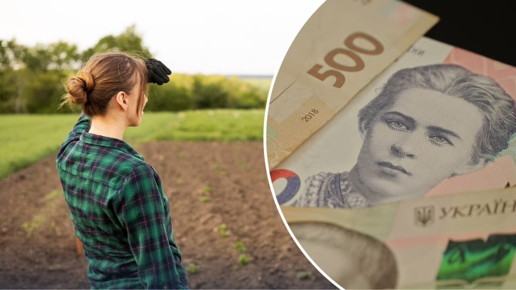 Чи призначають житлову субсидію власникам земельних паїв: відповідь ПФУ Субсидія.