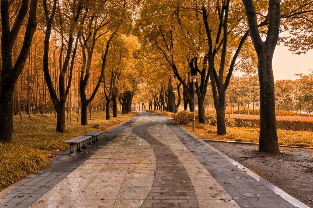 Осінь: